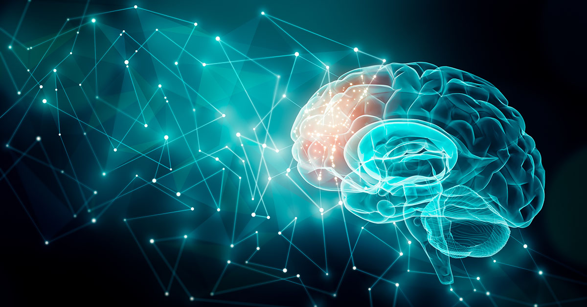 Human brain activity with plexus lines.. External cerebral connections in the frontal lobe. Communication, psychology, artificial intelligence or AI, neuronal informations or cognition concepts illustration with copy space; blog: what is brain science