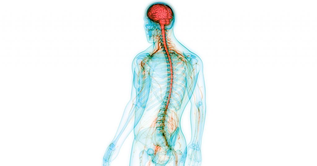 understanding-cns-scientific-publishing